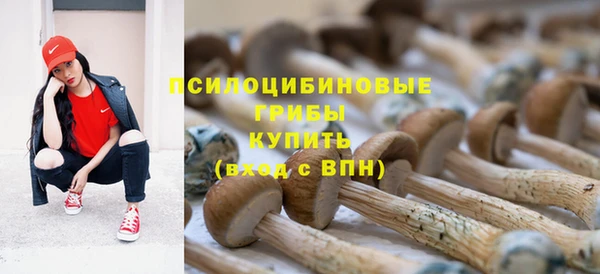 спиды Богородск