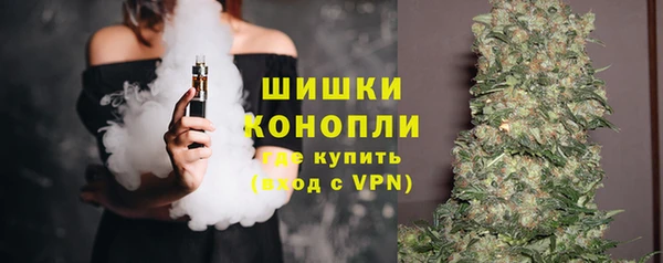 спиды Богородск