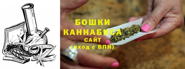 дмт Богданович