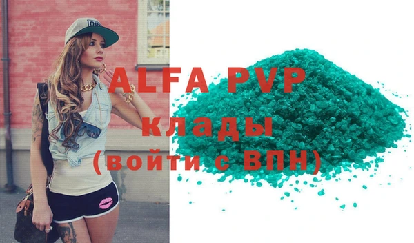 дмт Богданович