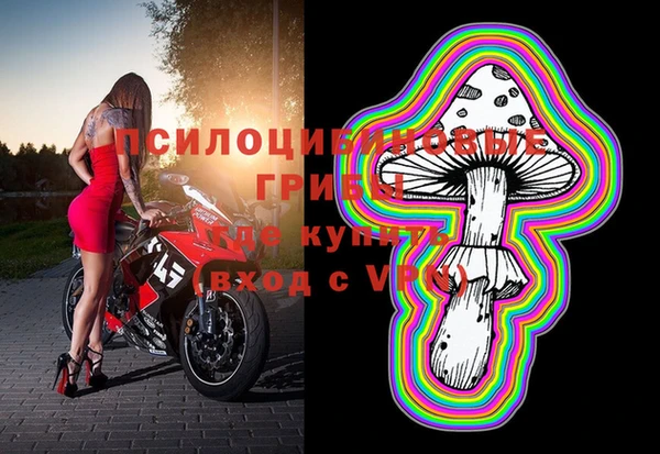 дмт Богданович