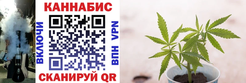 Купить  Мглин  Конопля марихуана 